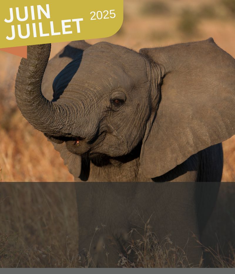 NAMIBIE