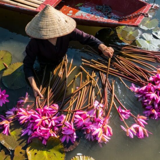 Exploration Vietnam et Cambodge