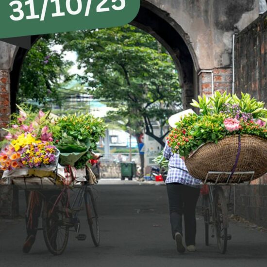 Partez pour un circuit exceptionnel au Vietnam et Cambodge ! Découvrez Hanoï, la baie d’Halong, Angkor Wat, Ho Chi Minh-Ville et bien plus encore. Plages paradisiaques, croisières sur le Mékong, temples majestueux et cuisine exotique vous attendent.